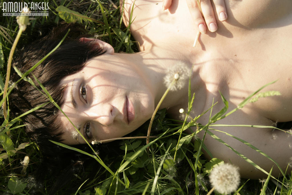 Kate enjoys her nudity outdoors showing her curves without any commitments  in Amour Angels set Dandelions