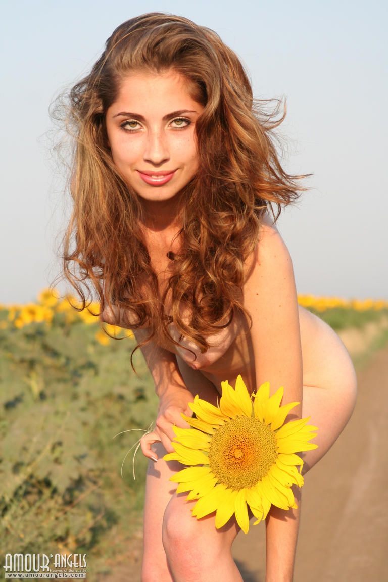 Dont miss your opportunity to enjoy sexy Yuliya poses in the daisy field  in Amour Angels set Sunflower