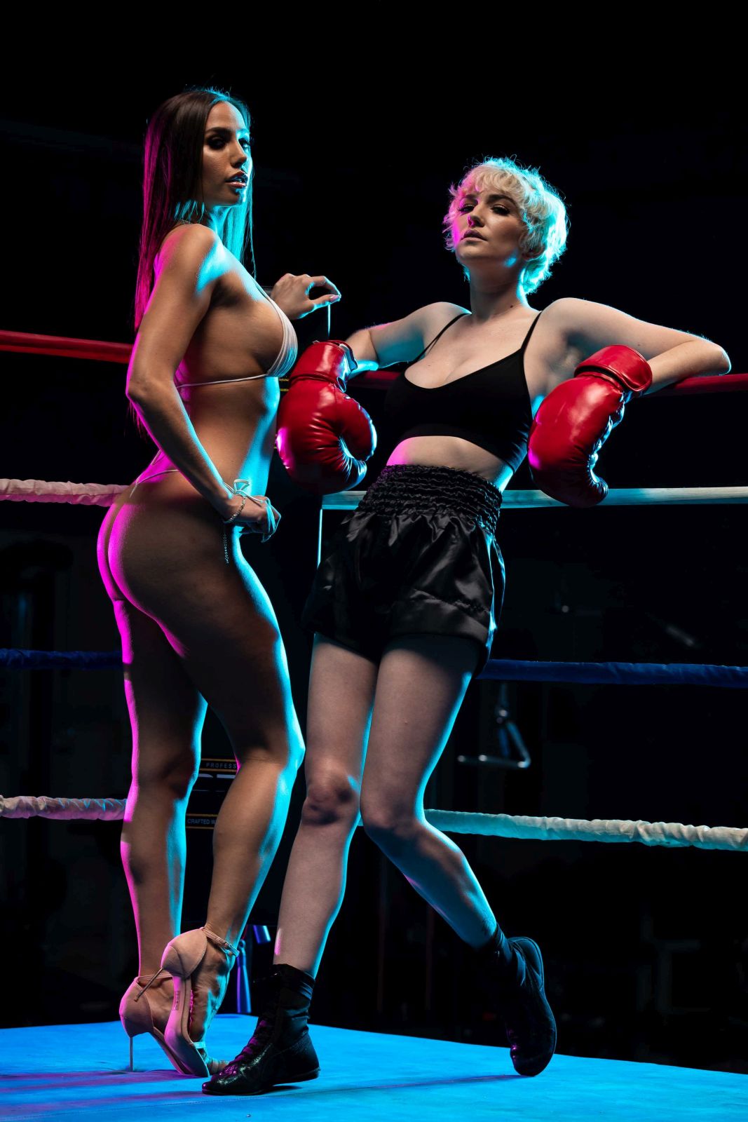 Two perfectly curved hotties having oral sex in the boxing ring  in Twistys set Total Knock Out