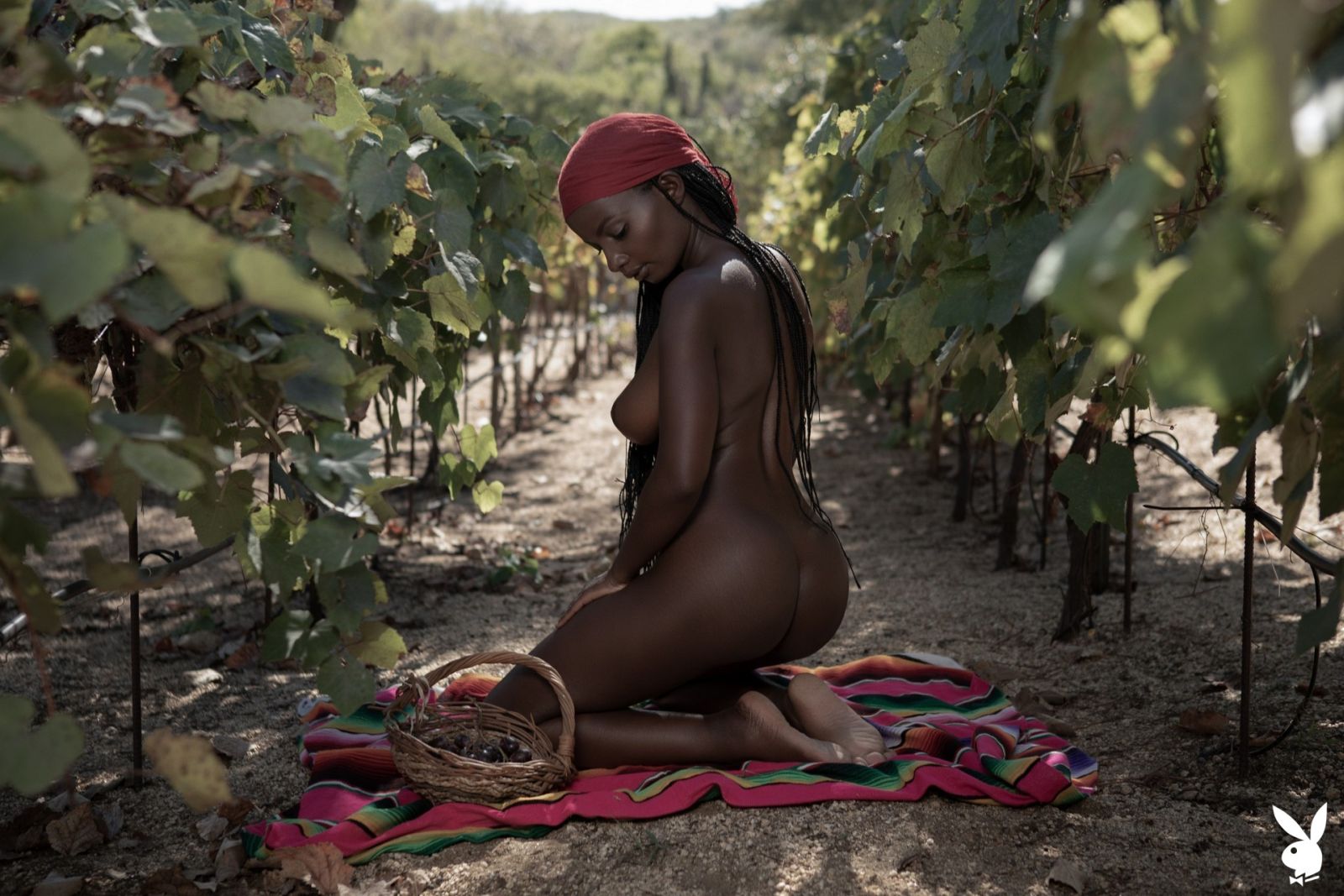 Black bomb Shasta Wonder leaves us speechless with seductive naked posing  in Playboy set Veni Vidi Vino